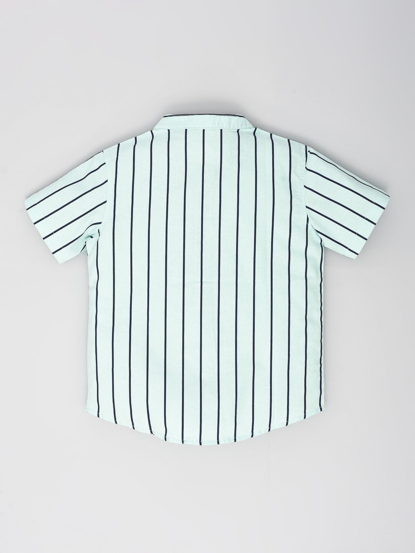Blue Striped Shirt